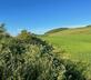 Old Parkhill Cottage at Hyrneside - Gallery - picture 