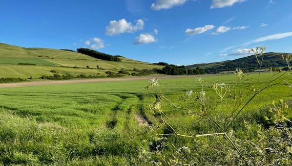Old Parkhill Cottage at Hyrneside - Gallery