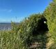 Old Parkhill Cottage at Hyrneside - Gallery - picture 