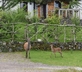 Ardmore House B&B - Gallery - picture 