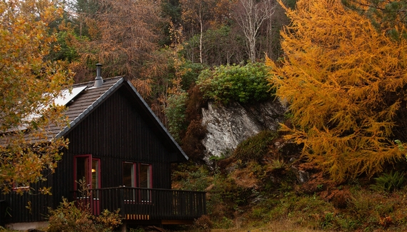 Borradill Cottage - Gallery