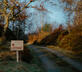 Borradill Cottage - Gallery - picture 