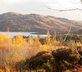 Borradill Cottage - Gallery - picture 