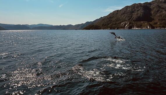 Doune Knoydart - Gallery