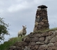 Gille Buidhe’s Broch - Gallery - picture 