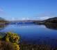 Shieldaig Steading - Gallery - picture 