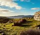 Roskhill House - Gallery - picture 