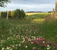The Lint Mill - Gallery - picture 
