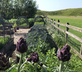 The Lint Mill - Gallery - picture 