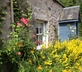 Rose Cottage, Dunalastair Estate - Gallery - picture 