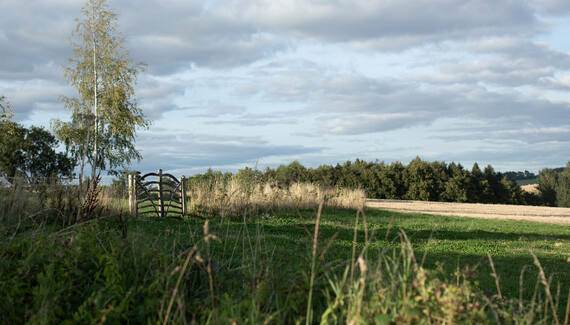 Whitehill Farm House - Gallery