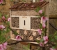 Bemersyde House - Gallery - picture 