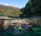 Riverside Cabin - Gallery - picture 
