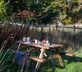 Riverside Cabin - Gallery - picture 