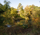 Riverside Cabin - Gallery - picture 