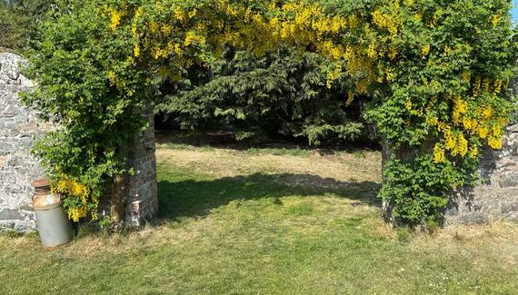 The Pijjery at Easter Knowe - Gallery
