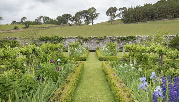 The Pijjery at Easter Knowe - Gallery