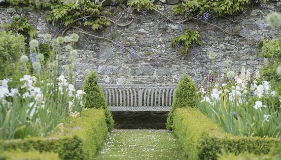 The Pijjery at Easter Knowe - Gallery