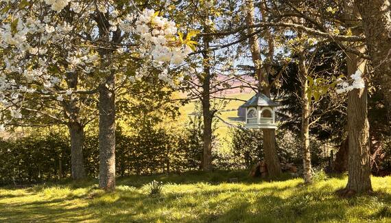 The Pijjery at Easter Knowe - Gallery