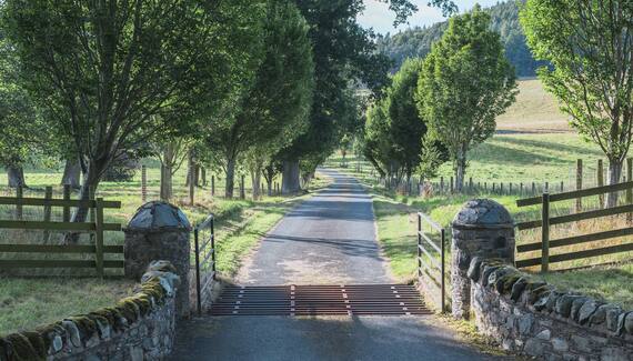 The Pijjery at Easter Knowe - Gallery