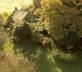 Glan-yr-afon - Gallery - picture 