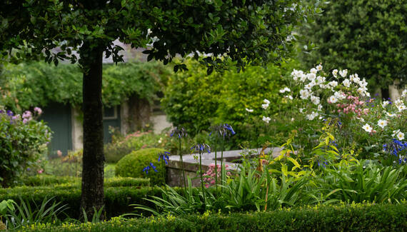 Llwynwermod Estate - Gatekeepers Cottage - Gallery