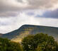 Llwynwermod Estate - Gatekeepers Cottage - Gallery - picture 