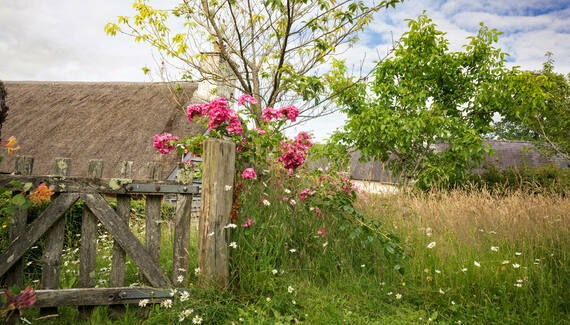 Llwynwermod Estate - Gatekeepers Cottage - Gallery