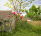 Llwynwermod Estate - Gatekeepers Cottage - Gallery - picture 