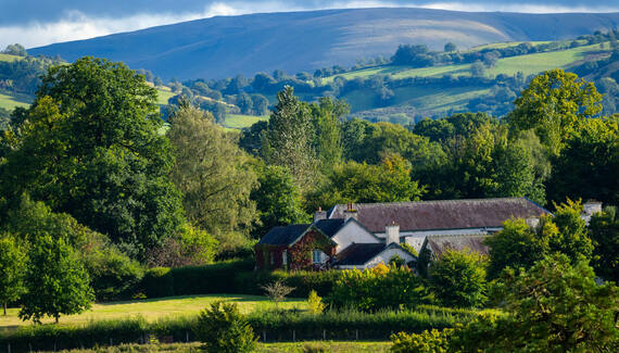 Llwynwermod Estate - Gatekeepers Cottage - Gallery