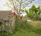 Llwynwermod Estate - North Range - Gallery - picture 