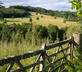 Llwynwermod Estate - West Cottage - Gallery - picture 