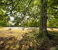 Llwynwermod Estate - West Cottage - Gallery - picture 
