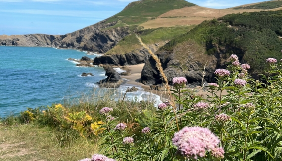 Glan yr afon - Gallery