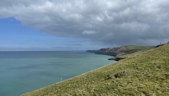 Noyadd Trefawr - Gallery
