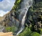 Noyadd Trefawr - Gallery - picture 
