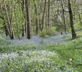 Noyadd Trefawr - Gallery - picture 