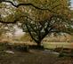 Bron Y Gadair - Gallery - picture 
