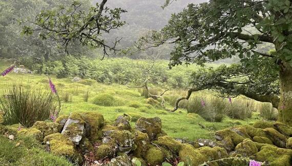 Garth Gell Farmhouse - Gallery