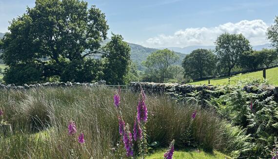 Garth Gell Farmhouse - Gallery
