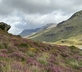 Garth Gell Farmhouse - Gallery - picture 