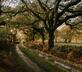Garth Yr Hebog - Gallery - picture 