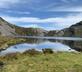 Gelliwaen - Gallery - picture 
