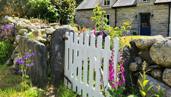 Glan Cader - Gallery