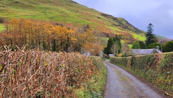 Glan Cader - Gallery