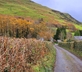 Glan Cader - Gallery - picture 