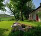 Mountain Cottage - Gallery - picture 