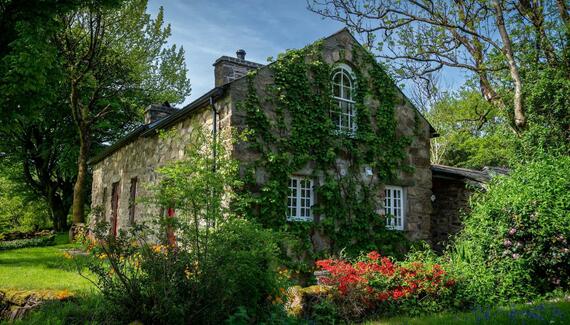 Mountain Cottage - Gallery