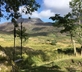 Nantcol - Gallery - picture 
