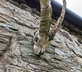 Nantcol - Gallery - picture 